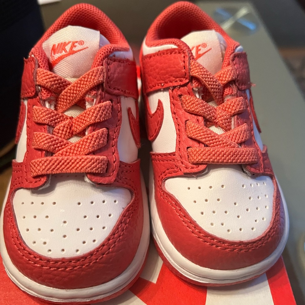 Nike Gypsy rose dunks